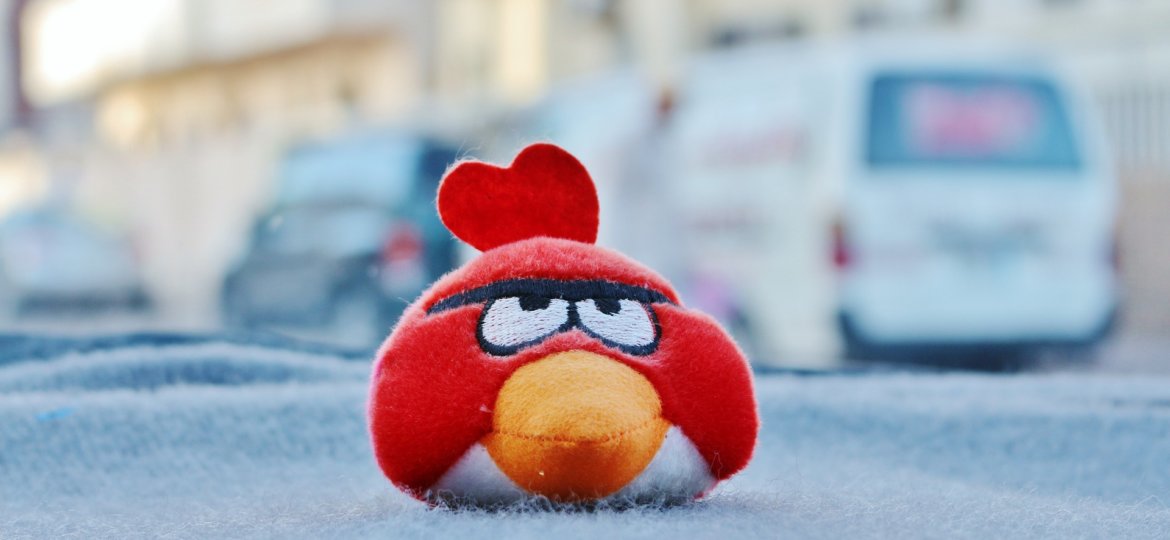 angry-bird-2234295_1920