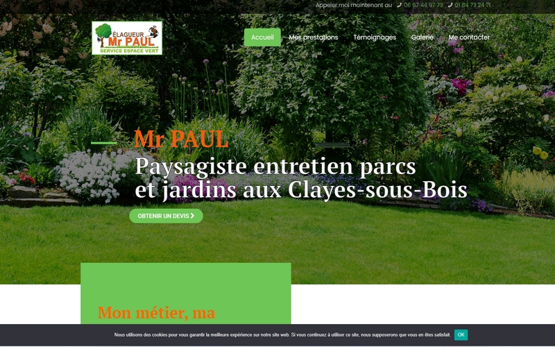 Agence web saintes mr_paul